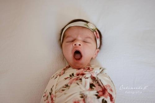 BEBES (2)